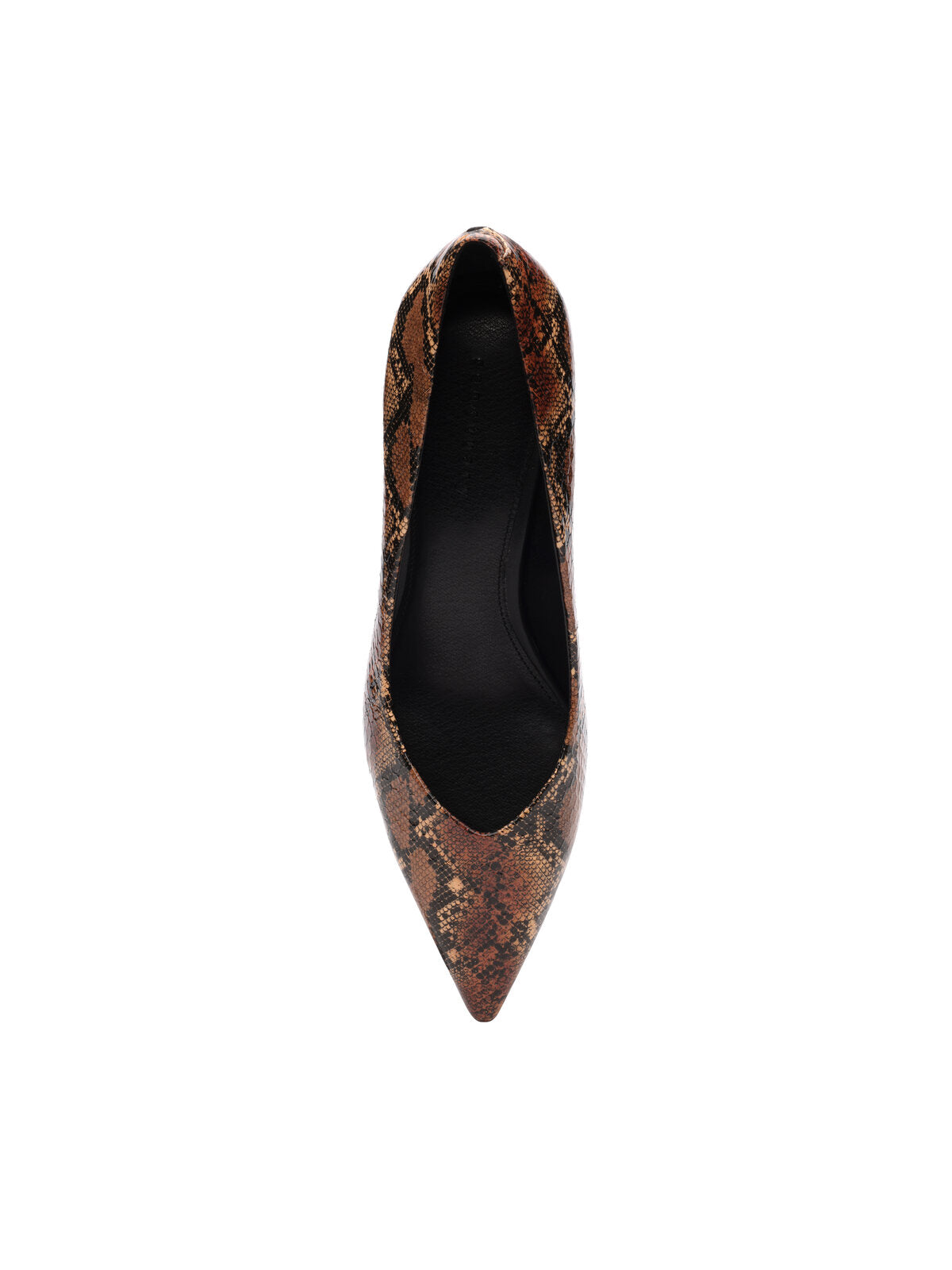 A single Padma Pump Brown Black stiletto shoe by Sanctuary Clothing, showcasing a snake-print pattern with a pointed toe, is displayed against a white background. The shoe features a sleek design and a narrow heel.